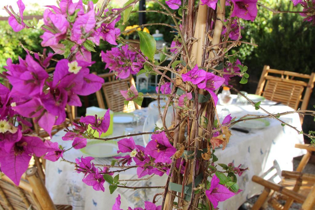 La Porta Sulla Costa Bed & Breakfast San Pantaleo Ngoại thất bức ảnh